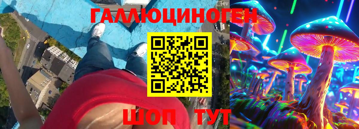 Новосибирск  Псилоцибиновые грибы Cubensis  Вход с VPN 