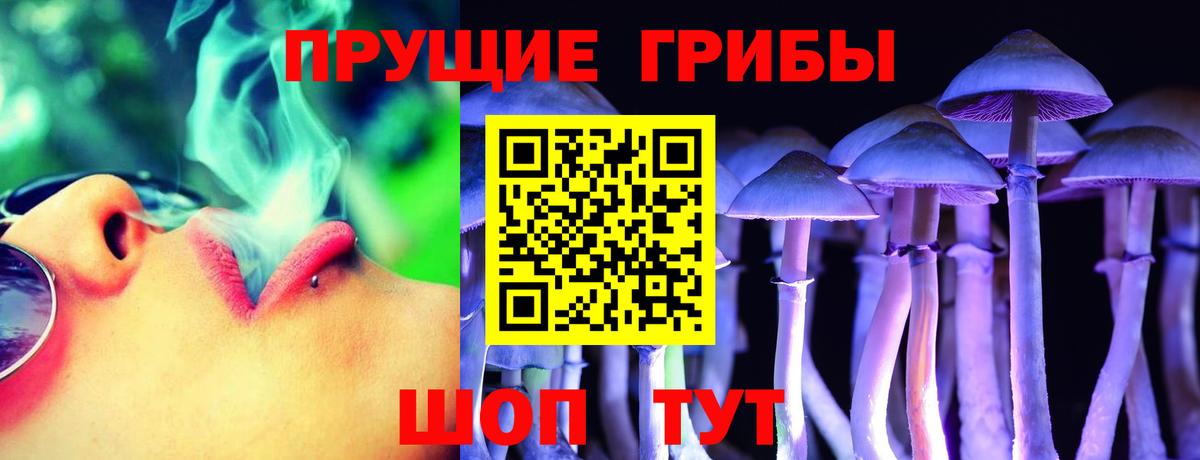 Галлюциногенные грибы Psilocybe Новосибирск